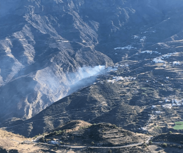 El Cabildo habilitará un formulario para voluntarios que quieran ayudar en la reforestación (Foto TA)